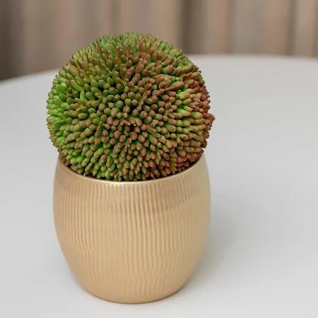 아파트 Superior Near The River In The Center On Granary Island By Renters *